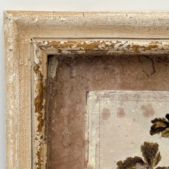 Williamsburg Creative Co-op Framed Floral Art Print 10x13 Rustic Cottagecore - Picture 6 of 10